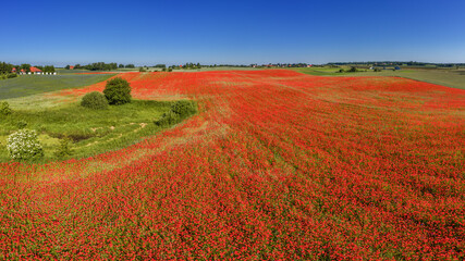 Widok na pola Warmii z lotu ptaka © Janusz Lipiński