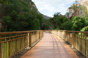 Fototapeta premium garden path look view in the park