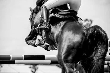 Muurstickers Horse Jumping, Equestrian Sports, Show Jumping themed photo. © Marcin Kilarski/Wirestock