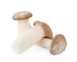 King oyster mushroom Pleurotus eryngii isolated on white background