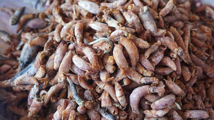 Dried squid piled up in traditional market
