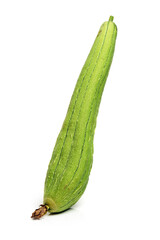 fresh loofah on the white background
