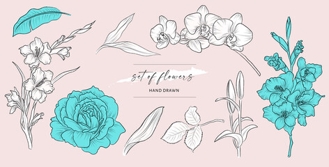 Set of art hand drawn flower and leaves. Isolated illustrations vector. Black outline plant on background. - obrazy, fototapety, plakaty