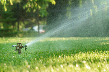 Podlewanie trawnika, nawodnienie zraszaczem rotacyjnym © af-mar