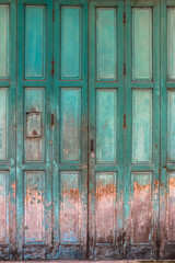 blackgrain old chinese door