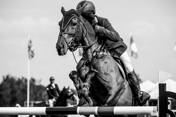 Horse Jumping, Equestrian Sports, Show Jumping themed photo.