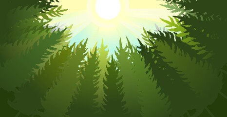 Forest silhouette scene. Bottom up view. A dark clearing among the trees. Landscape with tall plants. Beautiful view. Pines and spruces. Summer nature. Illustration vector © WebPAINTER-Std