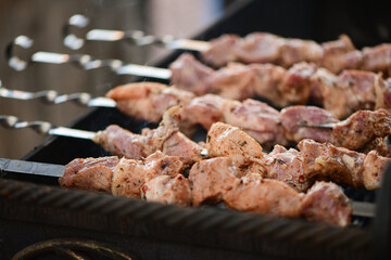 Grilled meat shish kebab. traditional outdoor picnic . grilled meat barbecue