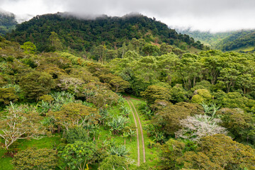 Fototapeta na wymiar Aerial view of Boquete in the Chiriqui province of western Panama.