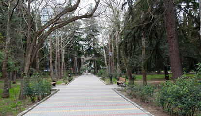 A beautiful path made of paving stones among the trees in the old park in the spring in the city of Alushta in the Crimea