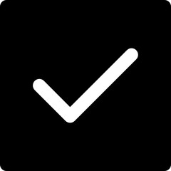 right check mark icon