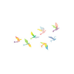 虹色の鳥の群れ