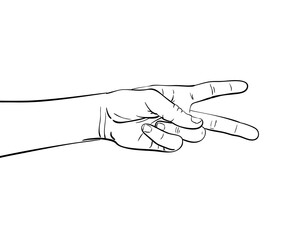 hand vector sketch isolated drawing