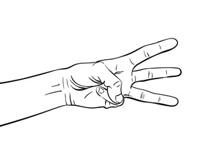 hand vector sketch isolated drawing