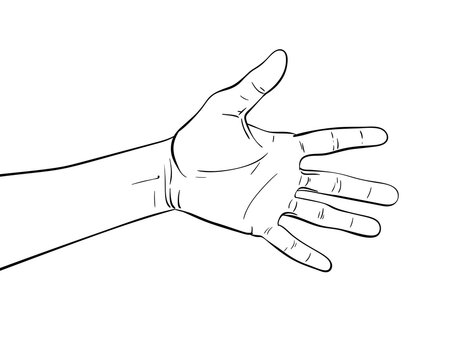 hand vector sketch isolated drawing
