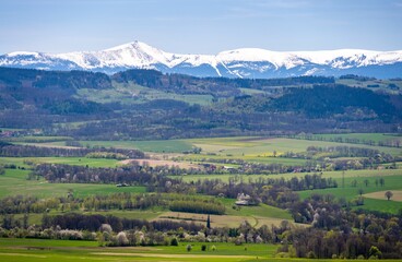 view on Sudety with snowy Karkonosze mountains with green meadows during spring in Poland - obrazy, fototapety, plakaty