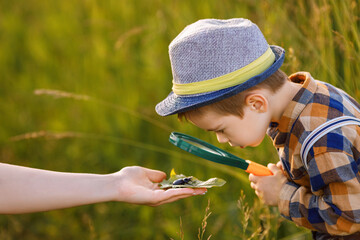 little boy exploring nature in the meadow with a magnifying glass