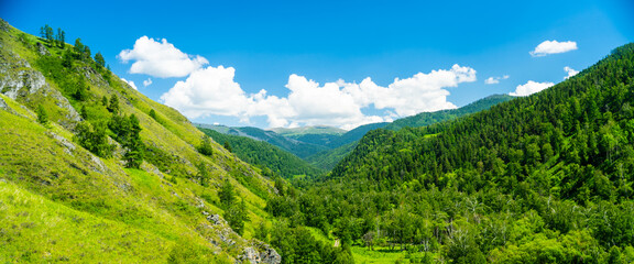 Fototapeta na wymiar mountain valley at summer time, bright blue sky with fluffy clouds, panoramic landscape