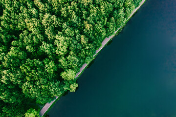 Amazing green forest, water aerial top view, copy space. Mixed deciduous trees and turquoise lake surface. Countryside woodland or park. Drone shoot above scenic landscape, diagonal narrow coastline - Powered by Adobe