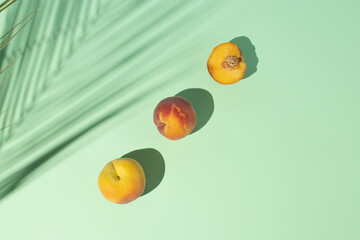 Creative summer composition with fresh peach fruits and palm leaf shadow on a pastel green background. Minimal food concept. Sunny day shadow.