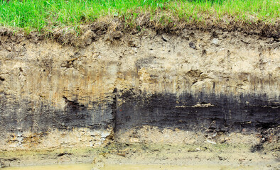 Layers of soil beneath section
