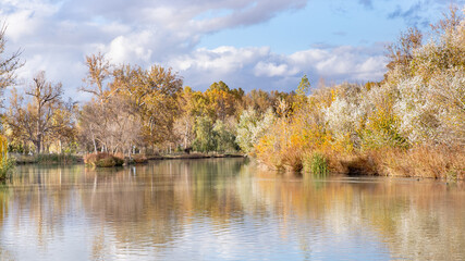 Beautiful autumn landscape with nature reflected in the water