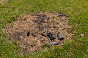 An old campfire in the lawn.