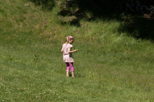 Girl picking flowers on a meadow, green grass, girl in pink cloth