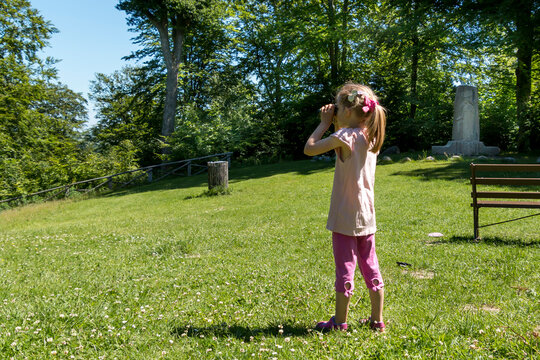 Girl looking in a birdcage for birds. green grass, large beech trees