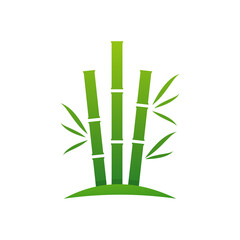 Fototapeta na wymiar Bamboo logo vector template, Creative Bamboo logo design concepts