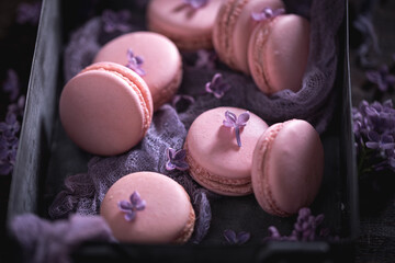 Unique violet lilac macaroons. Concept for gift card.