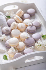 Sweet white lilac macaroons. Creative dessert compositions.