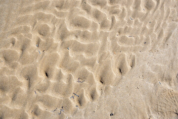Sand beach texture. Natural background. Sand waves background. Sandy dunes, tropical seashore landscape.
