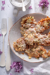 Delicious fried lilac flower with powdered sugar. Summer snack.