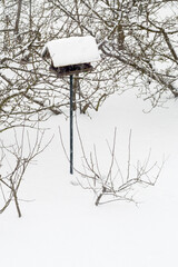 Bird feeder on a stick in the snow near the trees.