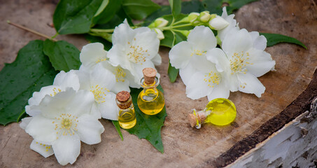 Essential oil and jasmine flowers on a wooden background. Cosmetic procedures.
