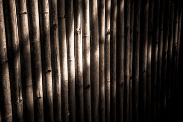 Bamboo wall with sunlight ray in dark theme for background concept design