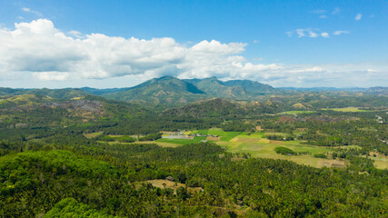 Fototapeta premium Tropical landscape: Agricultural land with plantings against a background of mountains and blue sky. Mindanao, Philippines.