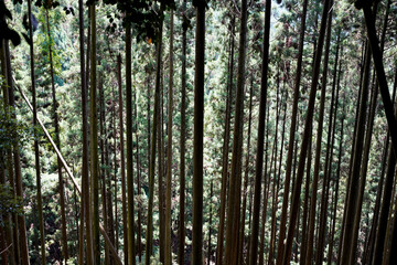 Kurama-yama in Kyoto.