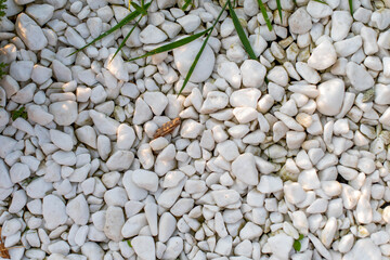 Top view on a garden small tree with white stones. Garden decoration.