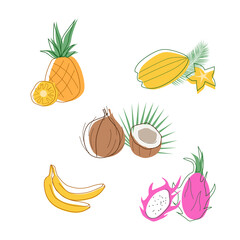 Vector Set of exotic fruits in the contour style. Bananas, coconut, pineapple, carambola, pitaya