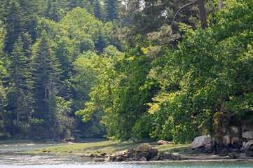 Les Vire-Court sur les méandres de L'Odet Quimper Cornouailles Finistère Bretagne France	