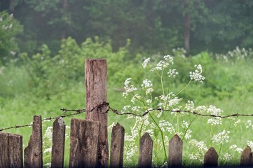 Fototapeta premium Nature behind a fence and barbed wire