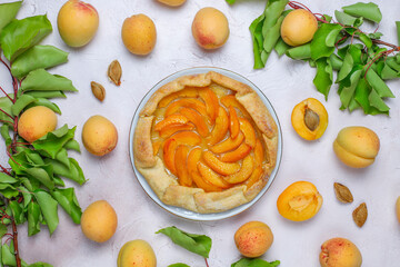 Delicious homemade galette with ripe apricots.