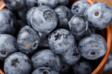 Freshly picked blueberries in a clay bowl. Healthy berry, organic food, antioxidant, vitamin