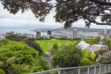 Obraz premium Wellington in New Zealand