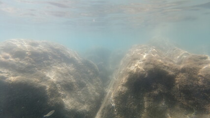 Unterwasseraufnahmen