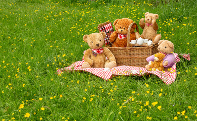 Teddy bear's picnic.  Five cute bears enjoy a picnic in Swaledale's wildflower meadows with...