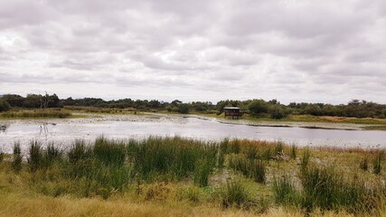 landscape with river