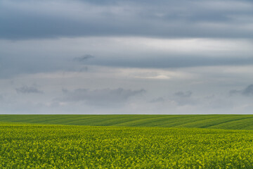 Agricultural landscape Podilia region, South-Western Ukraine